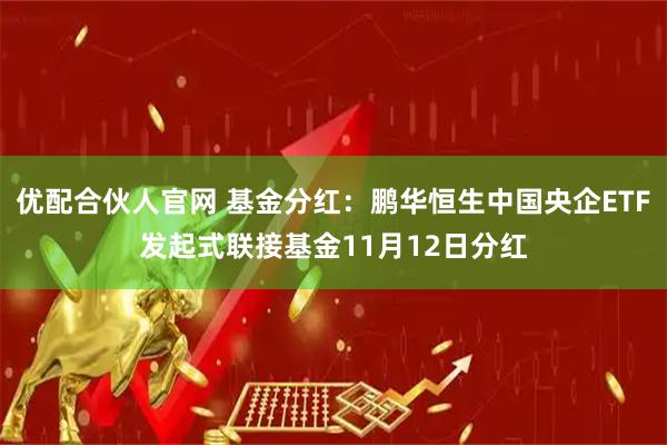 优配合伙人官网 基金分红：鹏华恒生中国央企ETF发起式联接基金11月12日分红