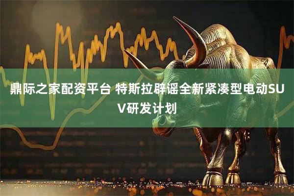 鼎际之家配资平台 特斯拉辟谣全新紧凑型电动SUV研发计划