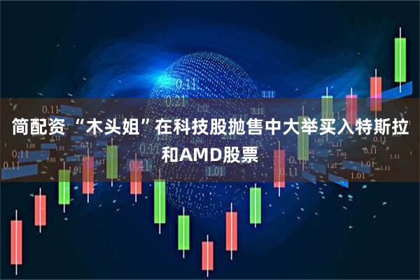 简配资 “木头姐”在科技股抛售中大举买入特斯拉和AMD股票